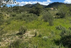Hiking tour with a dream view of the former monastery of Sant Salvador, 3-4 hours.
