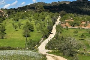 Hiking tour with a dream view of the former monastery of Sant Salvador, 3-4 hours.