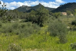 Hiking tour with a dream view of the former monastery of Sant Salvador, 3-4 hours.