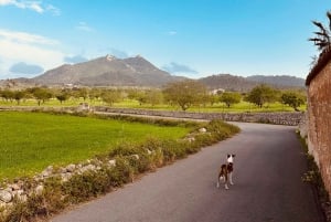 Hiking tour with a dream view of the former monastery of Sant Salvador, 3-4 hours.