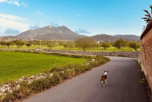 Wycieczka piesza z bajecznym widokiem na dawny klasztor Sant Salvador 3-4 godz.