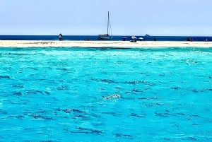 Excursion maritime à Illetas, Ibiza, avec paella et boissons