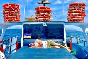 Excursion maritime à Illetas, Ibiza, avec paella et boissons