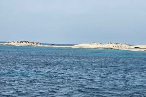 Excursion maritime à Illetas, Ibiza, avec paella et boissons