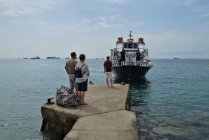 Excursion maritime à Illetas, Ibiza, avec paella et boissons