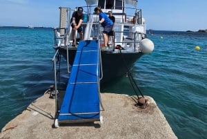 Excursion maritime à Illetas, Ibiza, avec paella et boissons