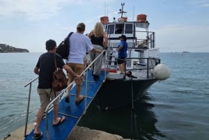 Excursion maritime à Illetas, Ibiza, avec paella et boissons