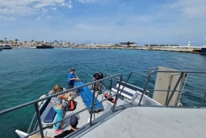 Excursion maritime à Illetas, Ibiza, avec paella et boissons