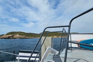 Excursion maritime à Illetas, Ibiza, avec paella et boissons