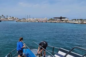 Excursion maritime à Illetas, Ibiza, avec paella et boissons