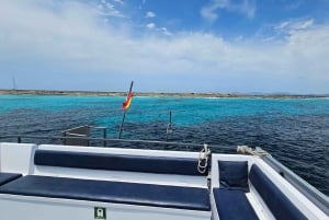 Excursion maritime à Illetas, Ibiza, avec paella et boissons