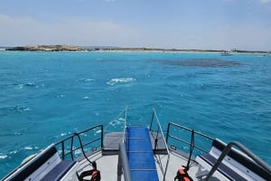 Excursion maritime à Illetas, Ibiza, avec paella et boissons