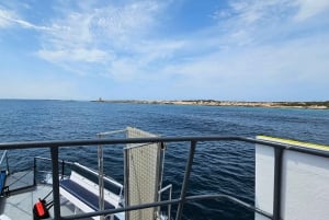 Excursion maritime à Illetas, Ibiza, avec paella et boissons