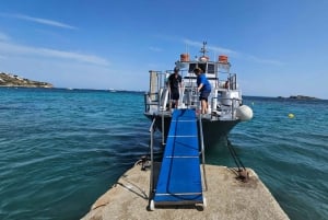 Excursion maritime à Illetas, Ibiza, avec paella et boissons