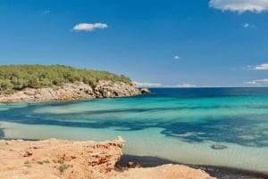 Ibiza: Färjetur till/från Formentera med eldriven färja