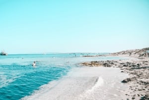 Ibiza: Färjetur till/från Formentera med eldriven färja