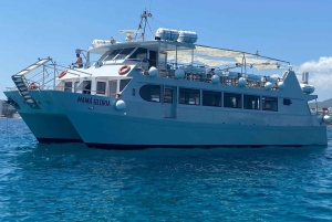 Ibiza : excursion à Formentera avec paddle, plongée avec tuba et déjeuner