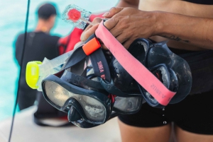 Ibiza : excursion à Formentera avec paddle, plongée avec tuba et déjeuner