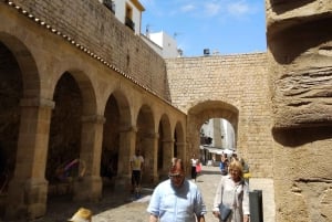 イビサ・ハイライト・ツアー：ユネスコ世界遺産から最高のビーチまで