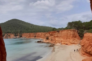 イビサ・ハイライト・ツアー：ユネスコ世界遺産から最高のビーチまで