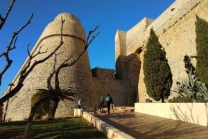 イビサ・ハイライト・ツアー：ユネスコ世界遺産から最高のビーチまで