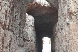 イビサ・ハイライト・ツアー：ユネスコ世界遺産から最高のビーチまで