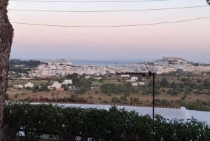 イビサ・ハイライト・ツアー：ユネスコ世界遺産から最高のビーチまで