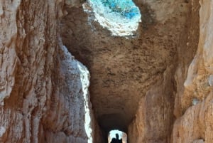 イビサ・ハイライト・ツアー：ユネスコ世界遺産から最高のビーチまで