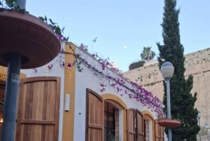 イビサ・ハイライト・ツアー：ユネスコ世界遺産から最高のビーチまで