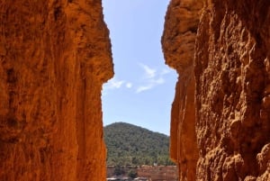 イビサ・ハイライト・ツアー：ユネスコ世界遺産から最高のビーチまで