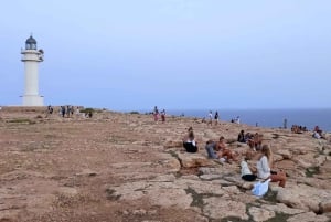 Ibiza: Meno-paluu-lauttalippu Formenteraan Figueretasista