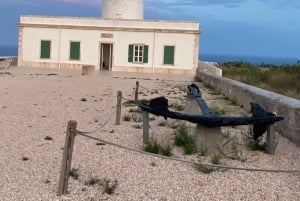 Ibiza: Meno-paluu-lauttalippu Formenteraan Figueretasista