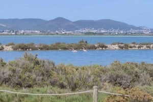 Ibiza: Halvdagstur til saltbedene, Es Vedra og tid og rom