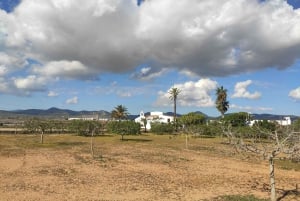 Ibiza: Halvdagstur til saltbedene, Es Vedra og tid og rom