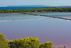 Ibiza: Excursão de meio dia às Salinas, Es Vedra e Tempo e Espaço