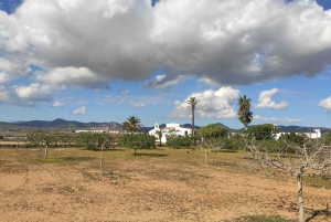 Ibiza: Excursão de meio dia às Salinas, Es Vedra e Tempo e Espaço