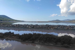 Ibiza: Excursão de meio dia às Salinas, Es Vedra e Tempo e Espaço
