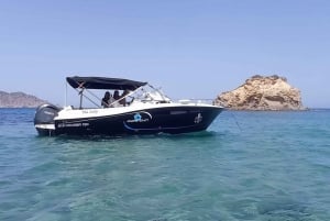 Ibiza: kort tur 'nord på øya' fra havet med privat båt