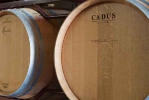 Illes Balears: Bodegas Bordoy Wine Tour with Lunch