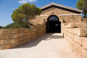 Illes Balears: Bodegas Bordoy Wine Tour with Lunch
