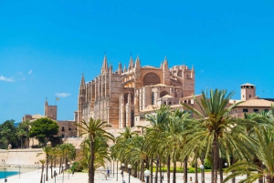 Instafamous Group Tour: South East of Mallorca