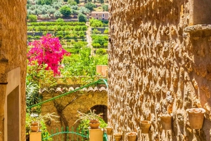 Instafamous Group Tour: South East of Mallorca