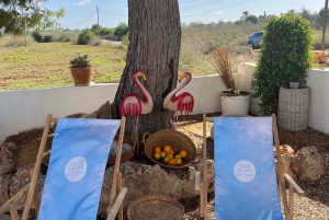 Instafamous Group Tour: South East of Mallorca