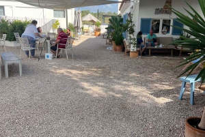 Instafamous Group Tour: South East of Mallorca