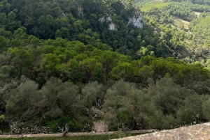 Instafamous Gruppetur: Sydøstlige Mallorca