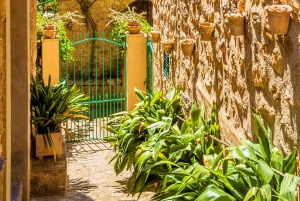 Instafamous Gruppetur: Sydøstlige Mallorca