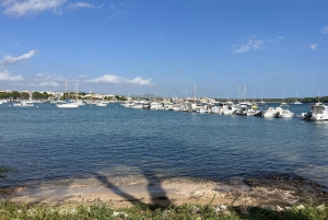 Instafamous Gruppetur: Sydøstlige Mallorca