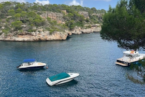 Instafamous Gruppetur: Sydøstlige Mallorca