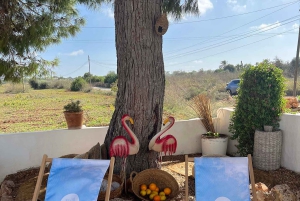 Instafamous Gruppetur: Sydøstlige Mallorca