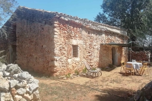 INTENSIVE CHIROMASSAGE WORKSHOP